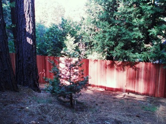 6 Ft Redwood Privacy Fence Quality Fence Cameron Park, Placerville
