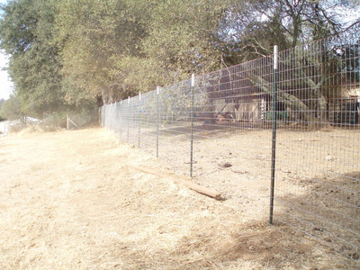 Horse Wire Fence With T Posts Quality Fence Cameron Park, Placerville